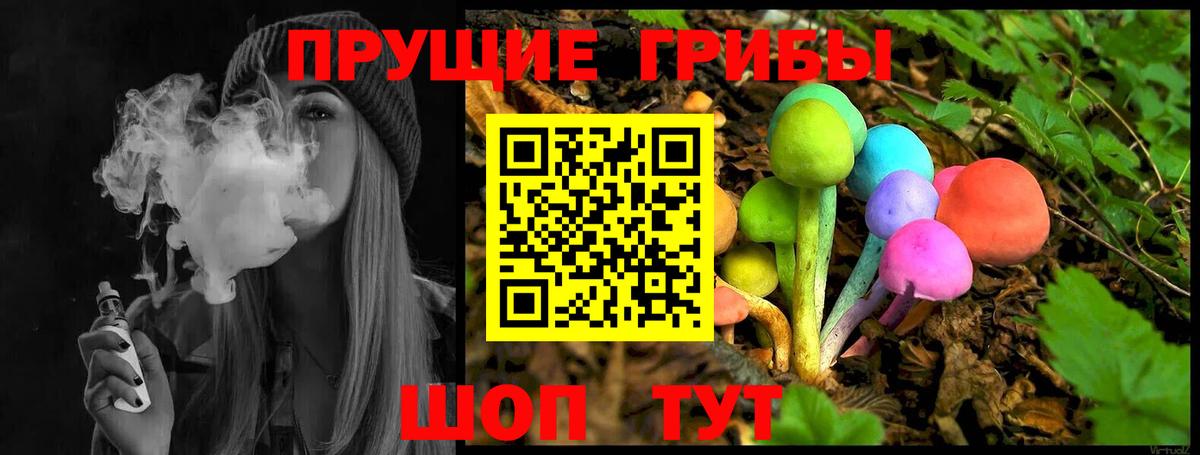 Кингисепп  Псилоцибиновые грибы Cubensis  Вход с VPN 