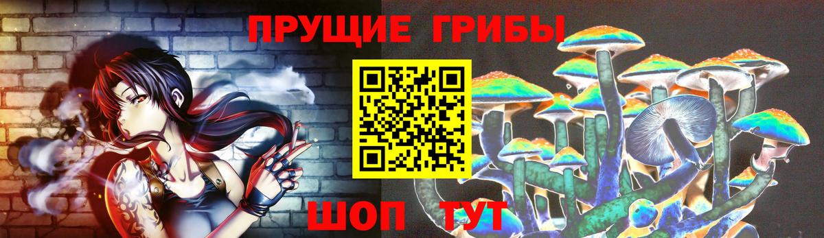 Галлюциногенные грибы GOLDEN TEACHER Кингисепп